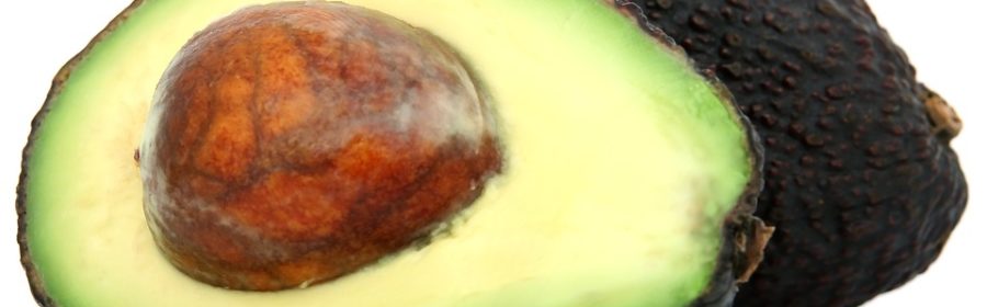 avocado
